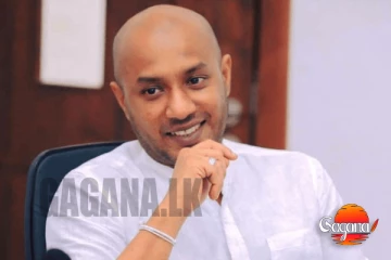 දුමින්ද යළිත් ඇතුලට