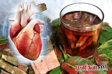 மருத பட்டை நீரைக் குடிப்பதால் கிடைக்கும் நன்மைகள் என்ன?