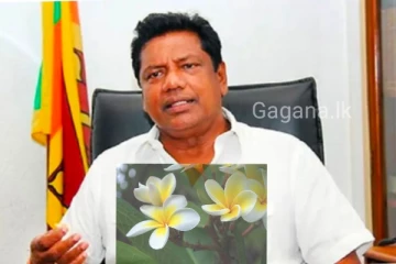 හිටපු අමාත්‍ය කුමාර වෙල්ගම මහතා අභාවප්‍රාප්ත වෙයි..හදිසියේ සිදු වූ දේ.