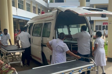 குளவிக் கொட்டுக்கு இலக்காகி குடும்பஸ்தர் உயிரிழப்பு