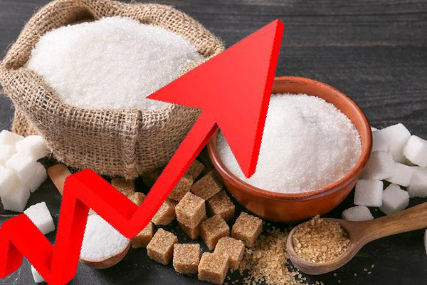 திடீரென அதிகரித்த சிவப்பு சீனியின் விலை! - ஐபிசி தமிழ்