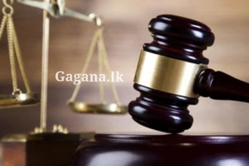 විභාග වෙමින් පවතින නඩුවක ලේඛන සපා කෑ නීතිඥවරිය.