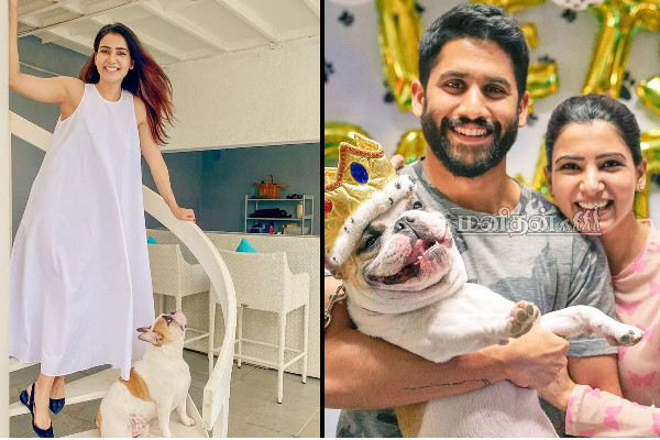 முன்னாள் கணவனுடன் வாழ்ந்த வீட்டை வாங்கிய சமந்தா! | Actress Samantha Bought The House