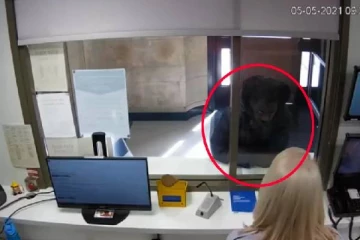 40 ஆண்டுகளாக மறைத்த சம்பவம்... பொலிசாரிடம் ஒப்புக்கொண்ட பிரித்தானியருக்கு ஆயுள் தண்டனை விதிப்பு