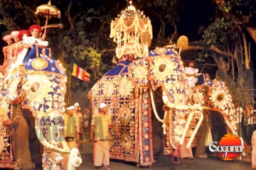 හැමෝම බලන් හිටපු ඇසළ මංගල්‍යයේ පළමු රන්දෝලි පෙරහර අද