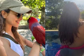 ஒரே படம்தான்.. ஆனால், கூகுளில் அதிகம் தேடப்பட்ட நடிகை இவர்தான் - யார் தெரியுமா?