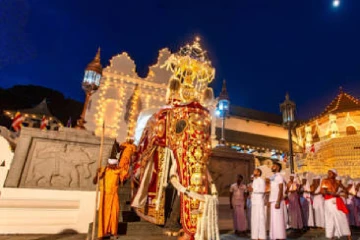 තෙවැනි රන්දෝලි පෙරහැර අද - ක්‍රියාත්මක වන රථ වාහන සැලැස්මක් ගැන දැනුම්දීමක්