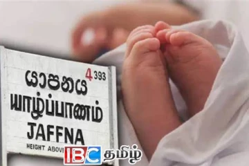 யாழில் ஒன்றரை வயதுக் குழந்தைக்கு எமனான கச்சான்