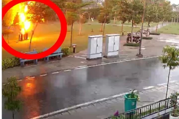 மரத்திற்கு அடியில் கும்பலாக நின்றிருந்த நபர்கள் மின்னல் தாக்கி எரிந்த சிலையாக சரிந்த பயங்கரம்! சிசிடிவி-யில் சிக்கிய திகிலூட்டும் காட்சி