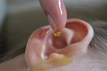 காது வலிக்கு எண்ணெய் ஊற்றினால் என்ன நடக்கும் தெரியுமா? உடனே தெரிஞ்சிக்கோங்க..இனி ஆபத்தை தடுக்கலாம்!