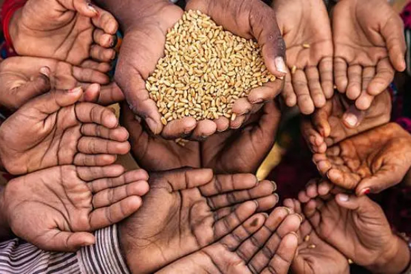 அமெரிக்கா மற்றும் ஐரோப்பிய நாடுகளால் ஏற்படக் காத்திருக்கும் பேரழிவு | The Devastation Caused By Us And European Aid Cuts அமெரிக்கா மற்றும் ஐரோப்பிய நாடுகளால் ஏற்படக் காத்திருக்கும் பேரழிவு | The Devastation Caused By Us And European Aid Cuts