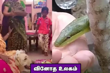 நாய்க்கு வளைகாப்பு !தாகத்தால் தவித்த பாம்புக்கு தண்ணீர் அளித்த நபர்..வினோத உலகம்
