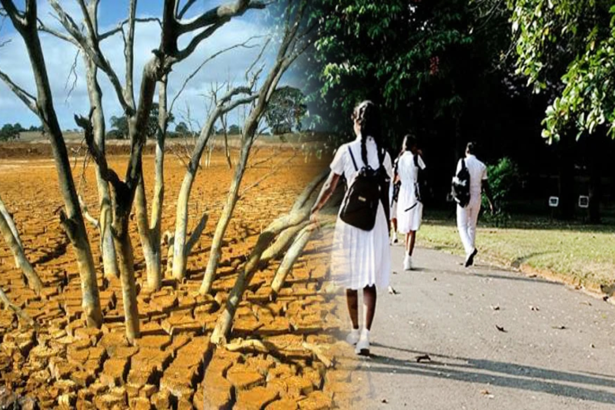 எல் நினோ காலனிலை சுகாதாரத்திற்கு அச்சுறுத்தல்! | El Ni O Climate Poses A Threat To Health