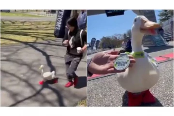 டக்..டக்..டக்..மாராத்தான் போட்டியில் ஓடி பதக்கத்தை வென்ற வாத்து..! வைரலாகும் வீடியோ..