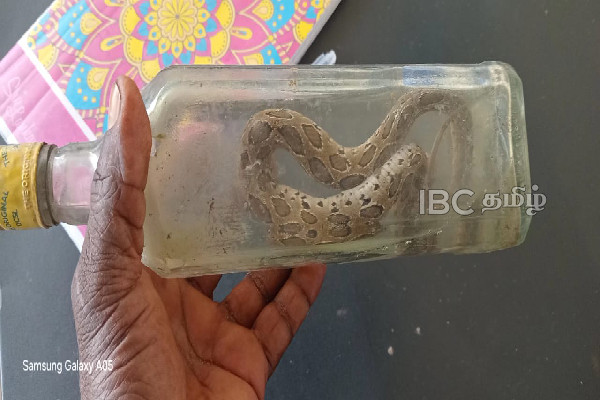 ஆலயவளாகத்தில் சிரமதான பணியில் ஈடுபட்ட இளைஞனுக்கு நேர்ந்த துயரம் | Young Man Dies After Being Bitten By A Snake ஆலயவளாகத்தில் சிரமதான பணியில் ஈடுபட்ட இளைஞனுக்கு நேர்ந்த துயரம் | Young Man Dies After Being Bitten By A Snake