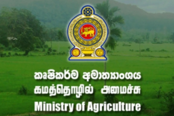 விவசாய அமைச்சு வெளியிட்ட முக்கிய அறிவிப்பு! | Important Issued By The Ministry Of Agriculture