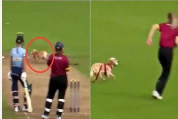 கிரிக்கெட் போட்டியின்போது மைதானத்துக்குள் புகுந்த நாய்.... பாதியில் நிறுத்தப்பட்ட ஆட்டம்