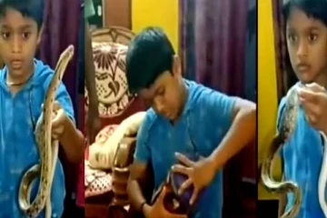 அசல்டா பாம்பை பிடித்து போத்தலில் போட்ட சிறுவன்! ஒரு நிமிட அலண்டு நின்ற இணையவாசிகள்