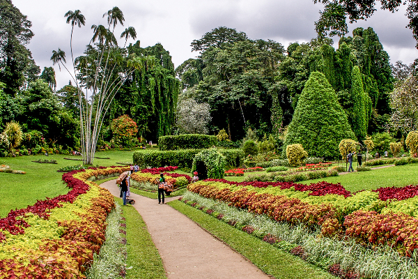 நுழைவு கட்டணம் அதிகரிப்பு! ஆனால் இவர்களுக்கு விலக்கு | Botanical Garden Entry Fee Increase