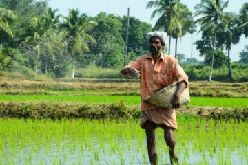 බය වෙන්න දෙයක් ඇත්තෙම නෑ - සියලුම ගොවීන්ට රජයෙන් සුබම සුබ පණිවිඩයක්