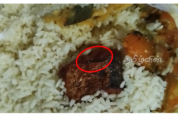 உடையார்கட்டில் சுகாதார சீர்கேட்டுடன் இயங்கிய உணவகத்திற்கு சீல் வைப்பு | Sealing Of The Restaurant In Mullaitivu உடையார்கட்டில் சுகாதார சீர்கேட்டுடன் இயங்கிய உணவகத்திற்கு சீல் வைப்பு | Sealing Of The Restaurant In Mullaitivu