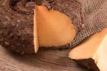 பலரும் வெறுத்து ஒதுக்கும் கருணைக்கிழங்கில் ருசியான பஜ்ஜி செய்யலாம் தெரியுமா?