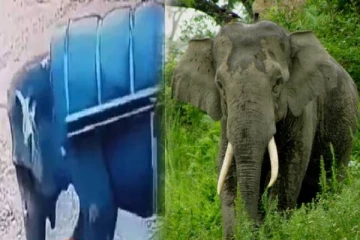 பாகனை கொடூரமாக தாக்கிய யானை : இணையத்தை ஆக்கிரமிக்கும் பகீர் காட்சி!