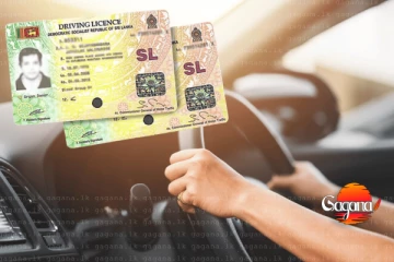 රියැදුරු බලපත් ඔන්ලයින් නිකුත් කිරීම අක්‍රීයයි - විශේෂ නිවේදනයක්