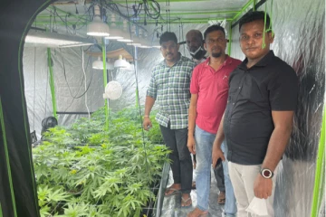 கொழும்பில் 3 மாடி சொகுசு வீட்டுக்குள்  கஞ்சா பயிரிட்ட கில்லாடிகள்!