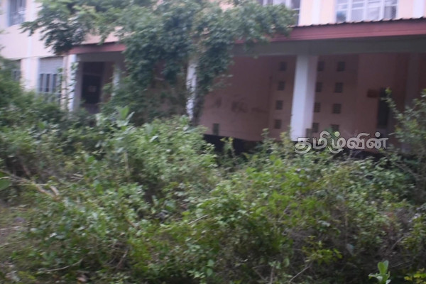 திருகோணமலை பாடசாலையொன்றுக்கு அருகில் அடர்ந்த காடு: மக்களுக்கு பாதுகாப்பு அச்சுறுத்தல் | Forest Nearby Ayesha Girls School Trinco திருகோணமலை பாடசாலையொன்றுக்கு அருகில் அடர்ந்த காடு: மக்களுக்கு பாதுகாப்பு அச்சுறுத்தல் | Forest Nearby Ayesha Girls School Trinco