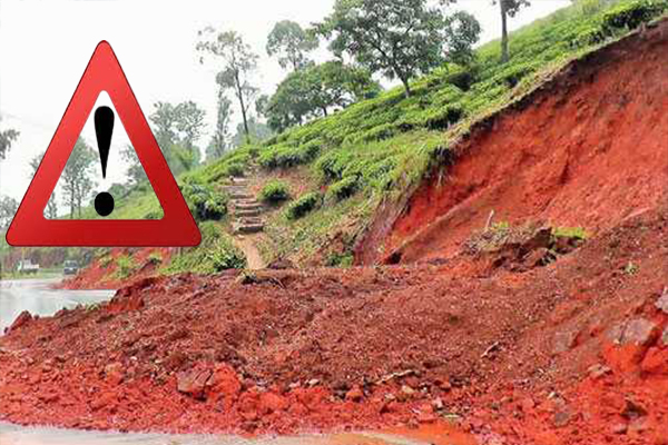 சீரற்ற காலநிலையினால் மலையகத்தின் பொது போக்குவரத்து பாதிப்பு | Massive Tree Fall In Nawalapity Area
