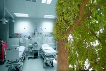 யாழில் தூக்கிட்டுக் கொள்வேன் என பாசாங்கு செய்து பரிதாபமாக உயிரிழந்த நபர்!