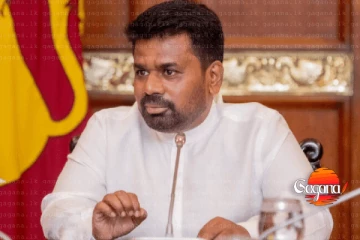 වගාව රක්ෂිතයේ ද නැද්ද යන්න නොසොයා වගා හානි සඳහා වන්දි ගෙවීම් 25ට පෙර අවසන් කරන්න - ජනපතිගෙන් නියෝගයක්