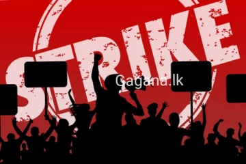 දිවයින පුරා රෝහල්වල ඖෂධවේදීන්ගේ වැඩ වර්ජනයක්..රෝගීන්ට විශේෂ දැනුම්දීමක්..