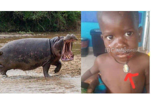 hippopotamus-swallows-2-year-old-boy-shocking-news