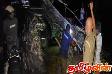 இரவில் பாதையில் முறிந்து விழுந்த மரம்! மூன்று மணிநேரம் போக்குவரத்து பாதிப்பு