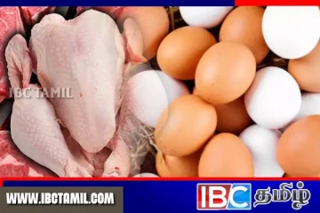 கோழி இறைச்சி பிரியர்களுக்கு மகிழ்ச்சியான செய்தி
