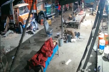 கட்டிலில் தூங்கிக் கொண்டிருந்த நபருக்கு அருகில் இருந்த நாயை கவ்விக் கொண்டு ஓடிய சிறுத்தை! அதிர்ச்சியூட்டும் வீடியோ