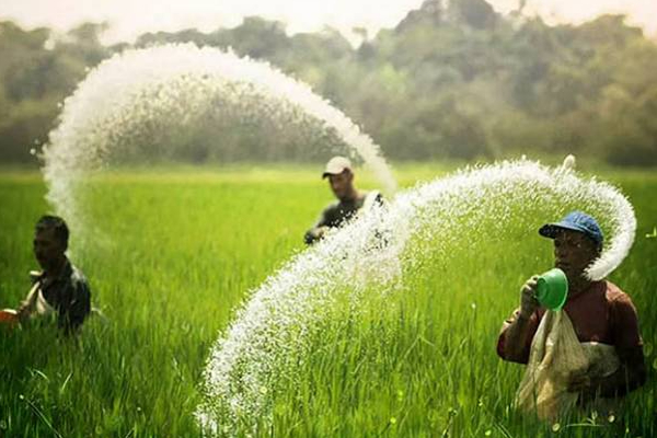 விவசாயிகளுக்கு வெளியான மகிழ்ச்சித் தகவல்! | Good News For Farmers Sri Lanka Price Will Reduced