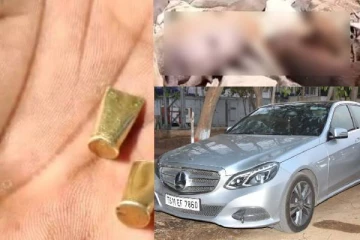 ஒரே இரவில் 20 நாய்கள் சுட்டுகொலை - என்ன காரணம்? ஷாக் சம்பவம்!