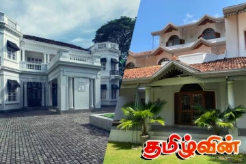 கொழும்பில் காடுகளாக மாறும் சொகுசு பங்களாக்கள்