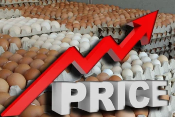 கட்டுப்பாட்டு விலையை மீறி எகிறும் முட்டை விலை