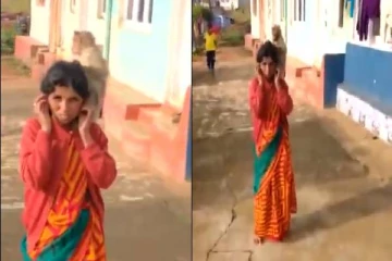 ’ஆண்ட்டி..ஆண்ட்டி நான் நல்லா பேன் பார்ப்பேன், நம்புங்க’ - பெண்ணின் தோள் மீது அமர்ந்து பேன் பார்க்கும் குரங்கின் வீடியோ வைரல்