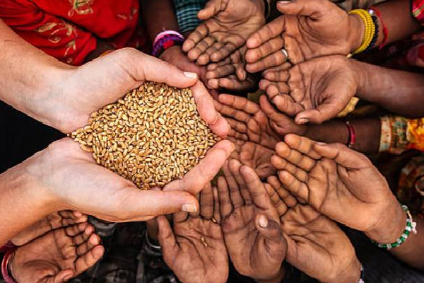 உணவுப் பாதுகாப்பின்மை தொடர்பில் இந்தியா விடுத்த கோரிக்கை! | Food Support For Sri Lanka India Reiterates