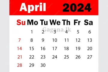 හිතුවේ නෑ නේද?. නෑ නෑ මෙන්න මේ 13,14,15 දවස් තුනේම ඇරලා..