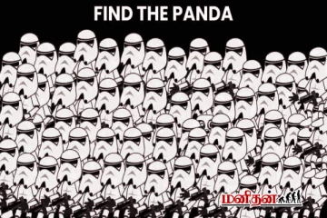 இதில் மறைந்திருக்கும் பன்டாவை ஐந்து நொடிகளில் கண்டுபிடிக்க முடியுமா?