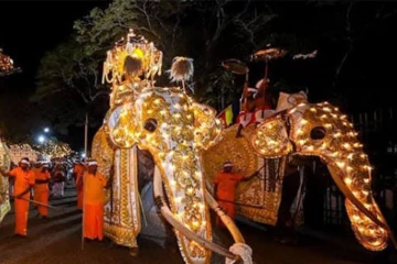 අවසන් කුඹල් පෙරහැර බලන්න එන ඔයාට විශේෂ දැනුම්දීමක් - දැනුවත් වෙලාම එන්න