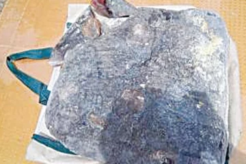 ரூ. 80 கோடி மதிப்புள்ள 'திமிங்கல வாந்தி' பறிமுதல்! 5 பேர் கைது