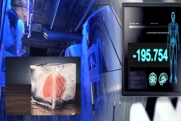 இறந்தவர்களை மீண்டும் உயிர்ப்பிக்கும் முதல் வெற்றி: ஆராய்ச்சியின் அடுத்த கட்டம்