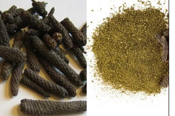 திப்பிலி சாப்பிட்டு வந்தால் என்ன நடக்கும் தெரியுமா?